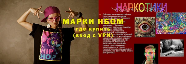 стаф Алзамай