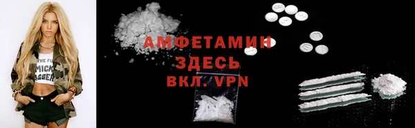 стаф Алзамай
