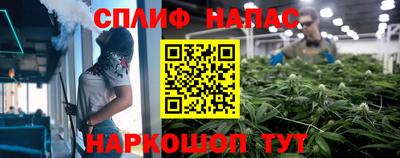 сатива Гусь-Хрустальный