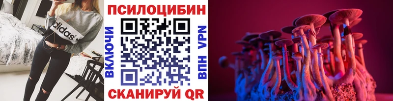 Псилоцибиновые грибы GOLDEN TEACHER Протвино