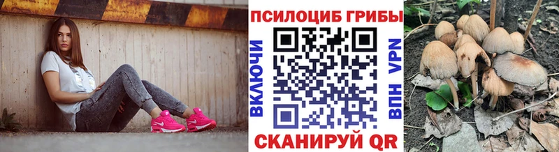 Псилоцибиновые грибы Magic Shrooms  Протвино 