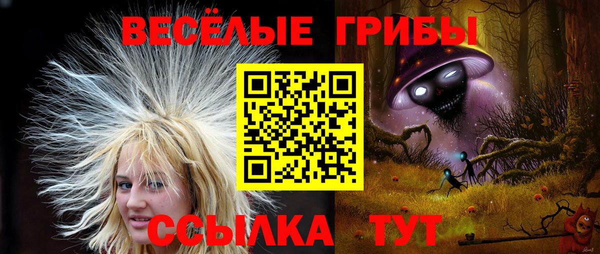 Протвино  Псилоцибиновые грибы мицелий  наркотики  Вход с VPN 