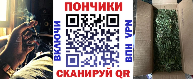 Шишки марихуана MAZAR  Протвино 
